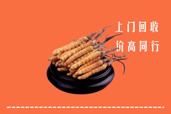 高价求购：遂宁市安居区回收散虫草