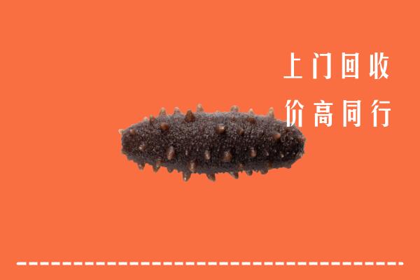 高价求购：遂宁市安居区回收海参