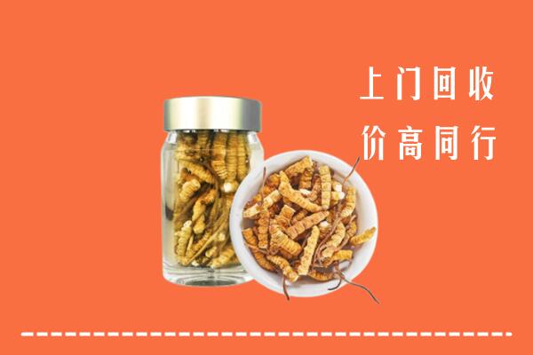遂宁市安居区回收冬虫夏草